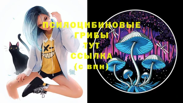 2c-b Аркадак