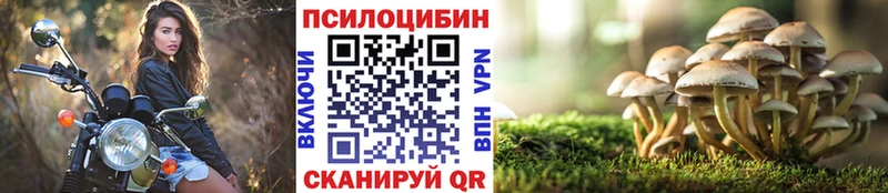 Купить закладки  Дубна  Псилоцибиновые грибы Magic Shrooms 
